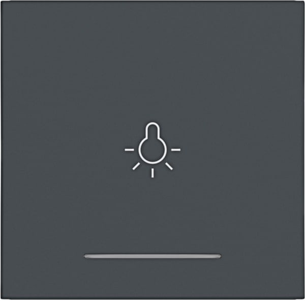 HAGER - A.x/C.x Wippe 1fach mit Aufdruck Licht, Linse, anthtazit matt, lack.