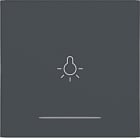 HAGER - A.x/C.x Wippe 1fach mit Aufdruck Licht, Linse, anthtazit matt, lack.
