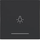 HAGER - A.x/C.x Wippe 1fach mit Aufdruck Licht, Linse, nachtschwarz matt