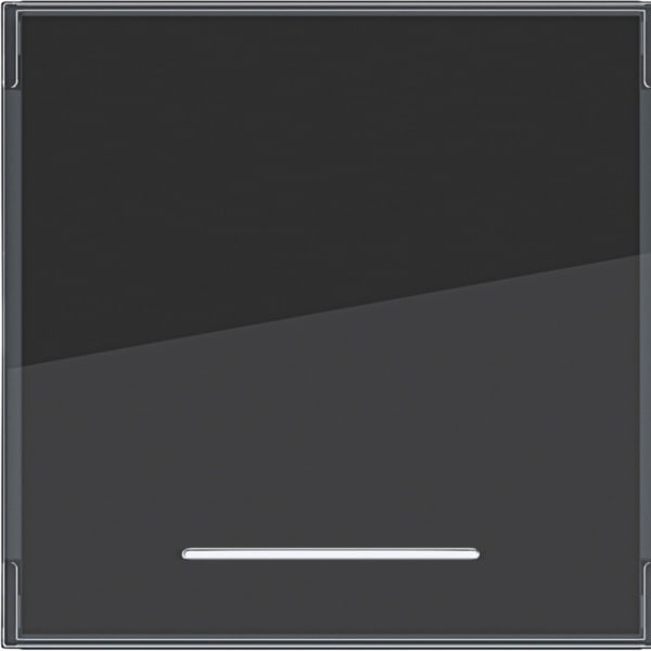 HAGER - A.x/C.x Wippe 1fach großes Beschr.feld, Linse, anthrazit m., lack.