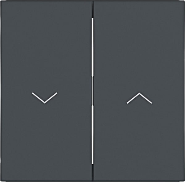 HAGER - A.x/C.x Wippe 2fach mit Aufdruck Symbol Pfeil, anthrazit matt, lack.