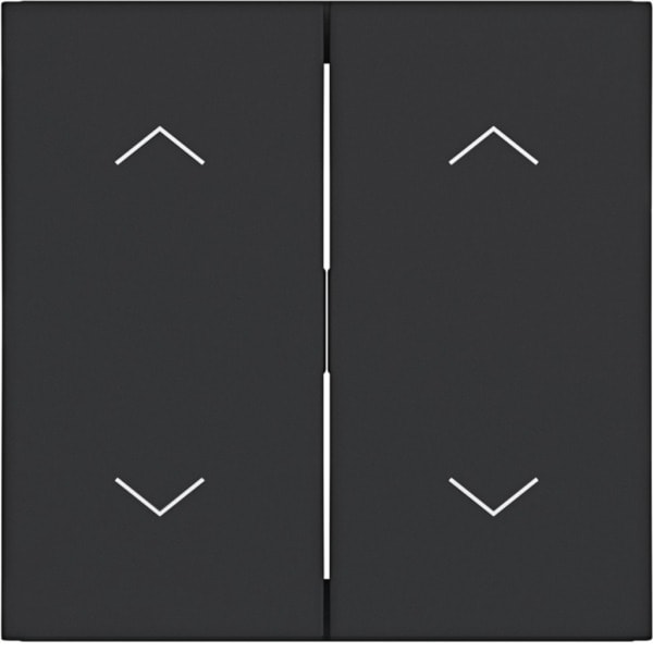 HAGER - A.x/C.x Wippe 2fach mit Aufdruck Symbol Pfeile, nachtschwarz matt