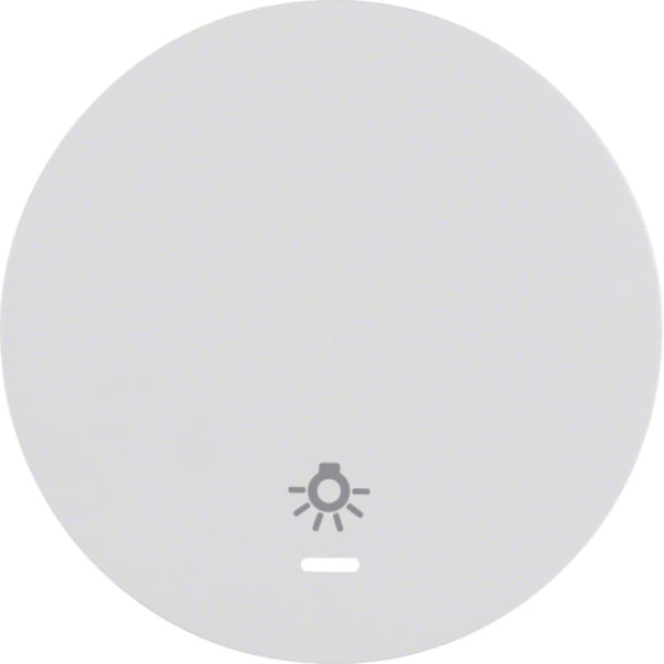 HAGER - R.x Wippe mit Aufsruck Symbol Licht, Linse, polarweiß glänzend