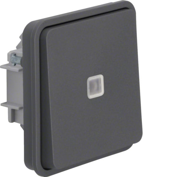HAGER - W.1 Taster-Einsatz mit Wippe, beleuchtet, Wechsler, IP55, grau matt