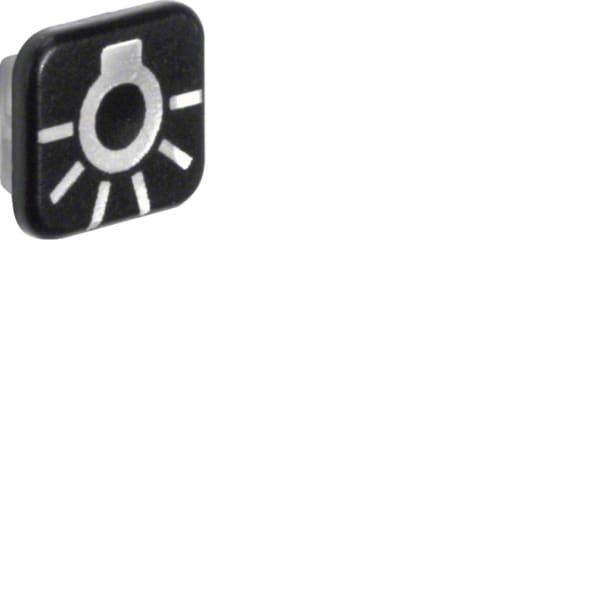 HAGER - W.1 Linse mit Aufdruck Symbol Licht, 10er-Set, IP55, transparent