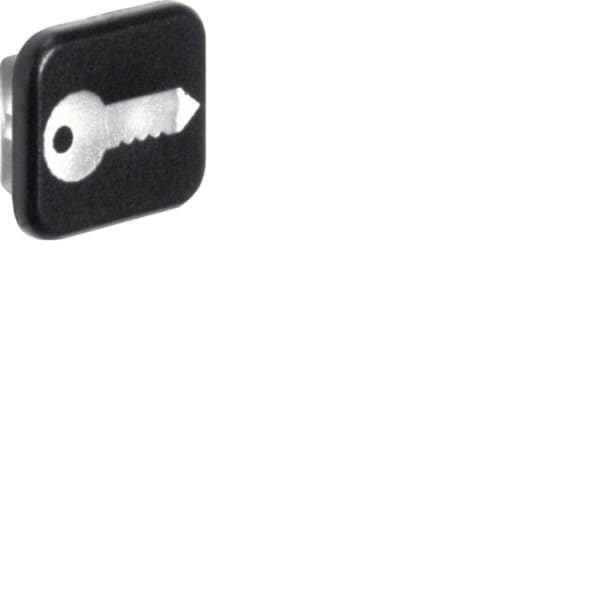 HAGER - W.1 Linse mit Aufdruck Symbol Schlüssel, 10er-Set, IP55, transparent