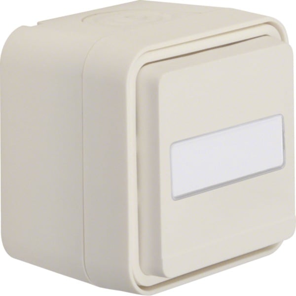 HAGER - W.1 SSD 1fach mit Klappdeckel, Beschr.feld, polarweiß matt