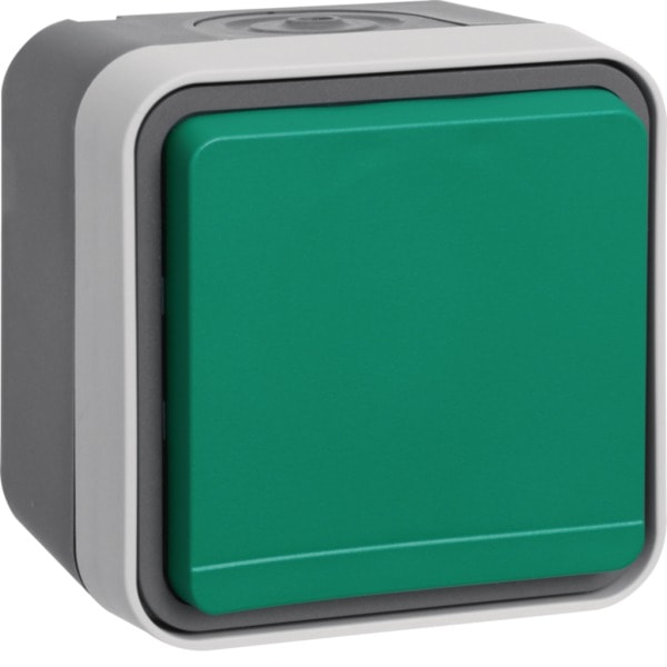 HAGER - W.1 SSD 1fach mit grünem Klappdeckel, IP55, grau