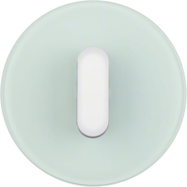 HAGER - Serie R.classic Abdeckplatte für Drehschalter & Taster Glas polarweiß