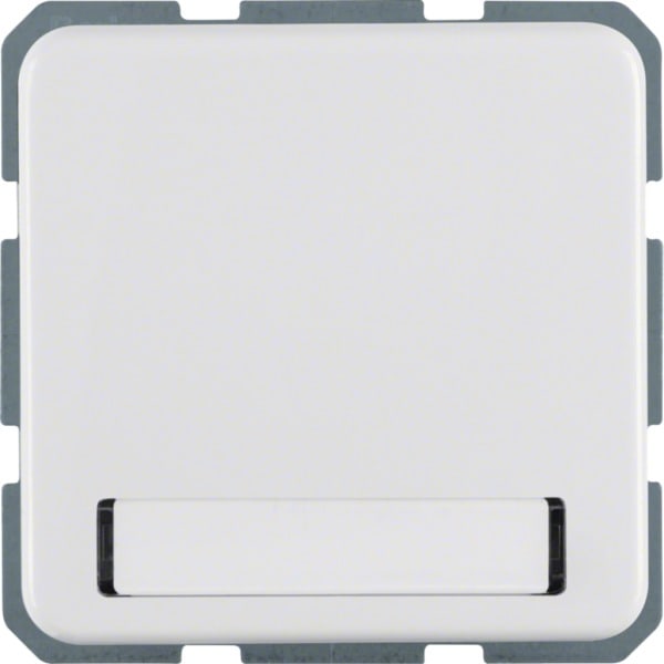 HAGER - WG-UP SSD mit Klappdeckel Beschr.feld, IP44, brapolarweiß glänzend