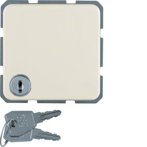 HAGER - WG-UP SSD mit Klappdeckel und Schloss, IP44, weiß glänzend