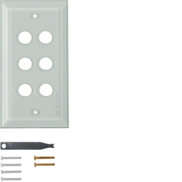 HAGER - TS Glasabdeckplatte 6fach mit umlaufender Facette, klar