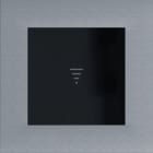 ELCOM - Zutrittsmodul RFID,Edelstahlrahmen, intercom modular