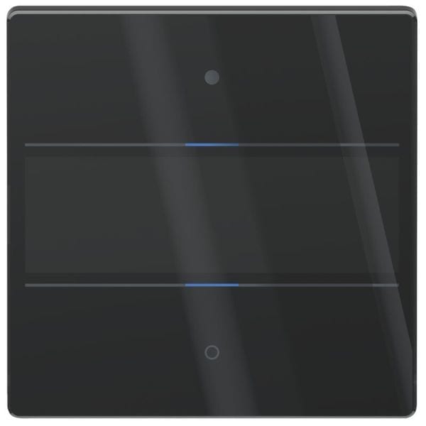 THEBEN - LUXORliving GlasTastsensor 2-fachmit Temperatursensor schwarz iON2 G BK