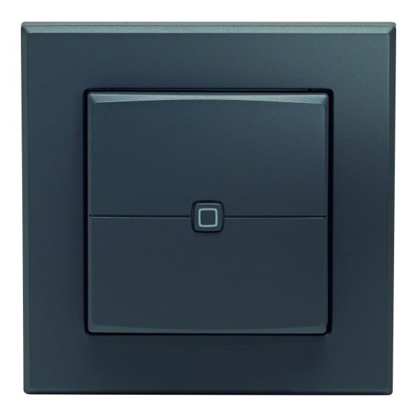 EQ3 - HOMEMATIC IP Wandtaster 2-fach anthrazit für 55 x 55 Rahmen, HmIP-WRC2-A-2