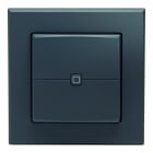 EQ3 - HOMEMATIC IP Wandtaster 2-fach anthrazit für 55 x 55 Rahmen, HmIP-WRC2-A-2