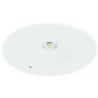 FISCHER - SLM-EE3UI2 SHL 3W Decke IP20 rund