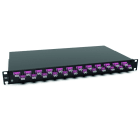 RUTENBECK - Spleissbox 19 Zoll1HE 24 Ports 24xLC-D OM4 erika sw spleisfertig