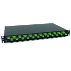 RUTENBECK - Spleissbox 19 Zoll1HE 24 Ports 24xLC-D OS2 APC grün sw spleisfertig