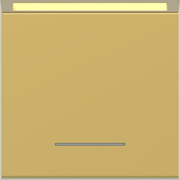 HAGER - HAGER A.x/C.x Zstk. für Taster Hotelcard mit Linse gold metallisch
