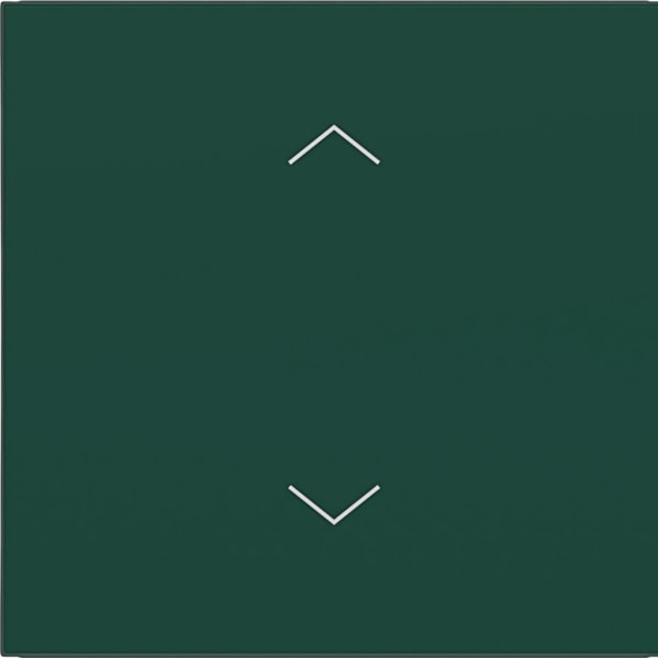 HAGER - HAGER A.x/C.x Wippe 1-fach mit Aufdruck Symbol Pfeile, jade halbglänzend