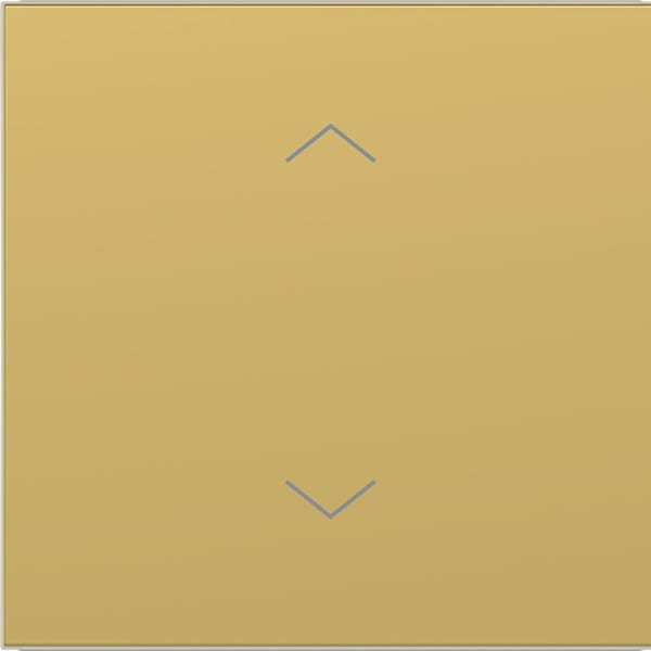 HAGER - HAGER A.x/C.x Wippe 1-fach mit Aufdruck Symbol Pfeile, gold metallisch