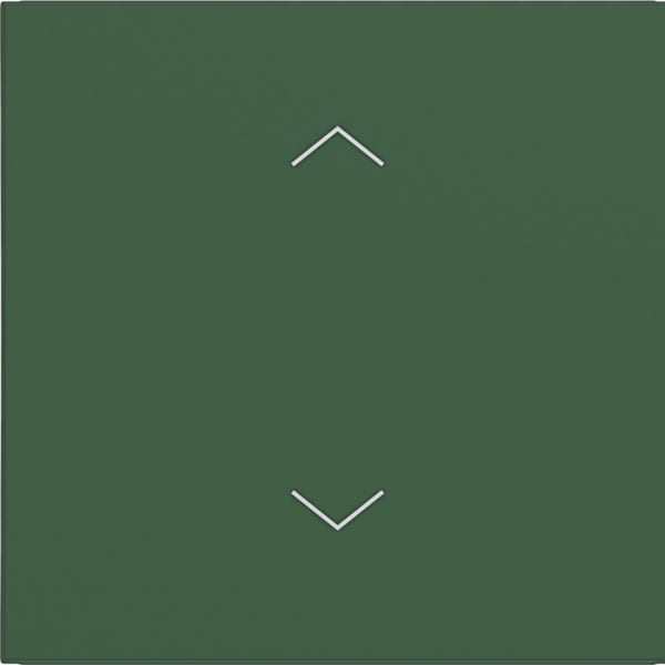 HAGER - HAGER A.x/C.x Wippe 1-fach mit Aufdruck Symbol Pfeile, forest matt