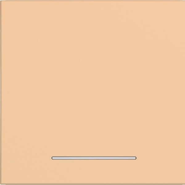 HAGER - HAGER A.x/C.x Wippe 1fach klare Linse petal matt