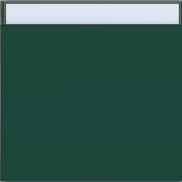 HAGER - HAGER A.x/C.x Wippe 1fach mit Beschr.feld, jade halbglänzend