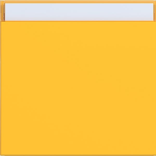 HAGER - HAGER A.x/C.x Wippe 1fach mit Beschr.feld, saffron matt