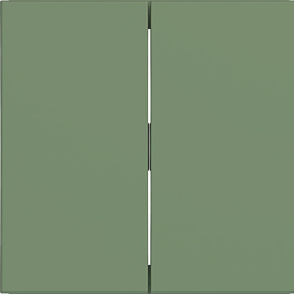 HAGER - HAGER A.x/C.x Wippe 2-fach aloe matt
