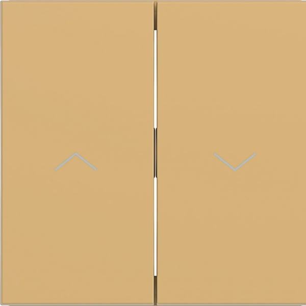 HAGER - HAGER A.x/C.x Wippe 2-fach mit Aufdruck Symbol Pfeile, hazel matt