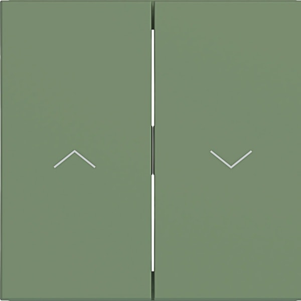 HAGER - HAGER A.x/C.x Wippe 2-fach mit Aufdruck Symbol Pfeile, aloe matt