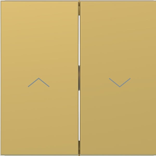 HAGER - HAGER A.x/C.x Wippe 2-fach mit Aufdruck Symbol Pfeile, gold metallisch
