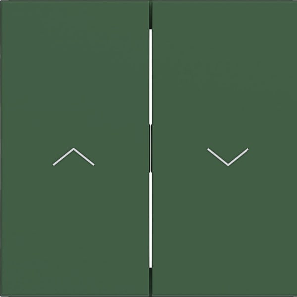HAGER - HAGER A.x/C.x Wippe 2-fach mit Aufdruck Symbol Pfeile, forest matt