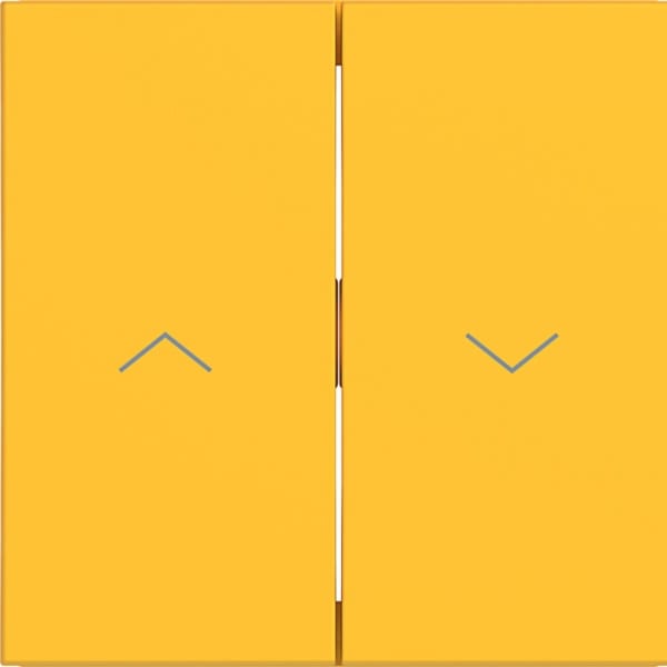 HAGER - HAGER A.x/C.x Wippe 2-fach mit Aufdruck Symbol Pfeile, saffron matt