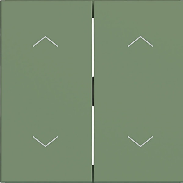 HAGER - HAGER A.x/C.x Wippe 2-fach mit Aufdruck Symbol Pfeile, aloe matt