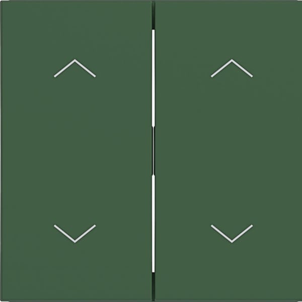 HAGER - HAGER A.x/C.x Wippe 2-fach mit Aufdruck Symbol Pfeile, forest matt
