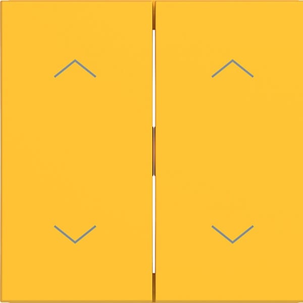 HAGER - HAGER A.x/C.x Wippe 2-fach mit Aufdruck Symbol Pfeile, saffron matt