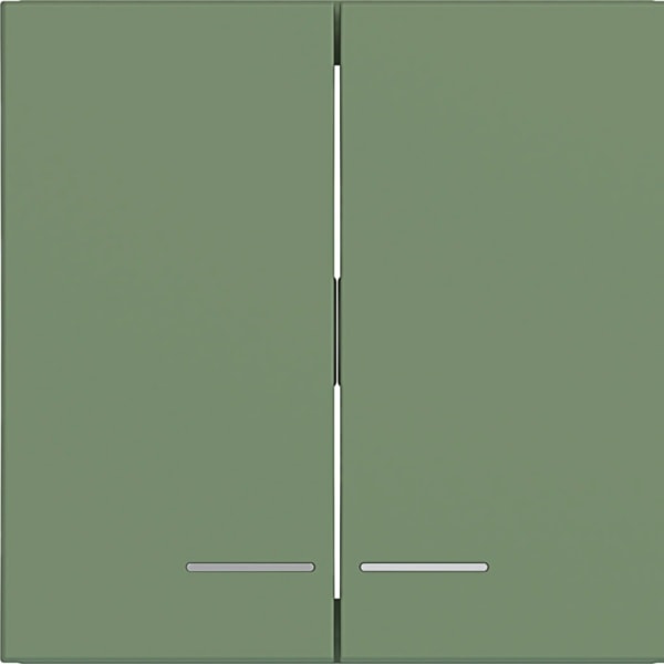 HAGER - HAGER A.x/C.x Wippe 2fach klare Linse aloe matt