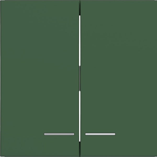 HAGER - HAGER A.x/C.x Wippe 2fach klare Linse forest matt