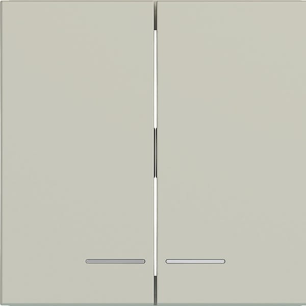 HAGER - HAGER A.x/C.x Wippe 2fach klare Linse pebble matt