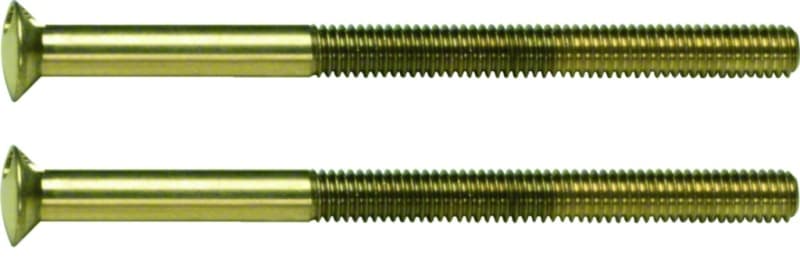 HAGER - HAGER TS Zweilochschrauben gold (1 Set = 2 Stück)