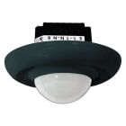 BEG - BEG PD2-M-2C-UP schwarz matt RAL 9005 Präsenzmelder Unterputz