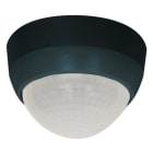 BEG - BEG PD4-M-1C-AP schwarz matt RAL 9005 Präsenzmelder Aufputz