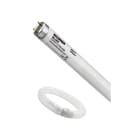 SYLVANIA - T8 Blacklight G13 F15W BL368 SL