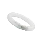 SYLVANIA - T9 Circline Plus G10q FC40W 840 SL