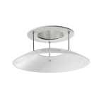 SYLVANIA - Myriad Ring ws + konkaves Glas