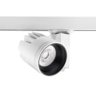SYLVANIA - Beacon Accent XL LED II LS3 33W 2478lm 940 44° IDim ws