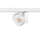 SYLVANIA - Beacon XXL LED LS3 48W 4884lm 940 67° IDim ws
